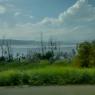 view (2)