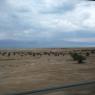 view (2)