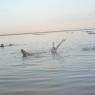 03-19 3Dead Sea