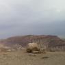 view (3)