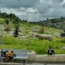 view (6)