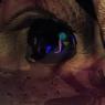 20260519_102646