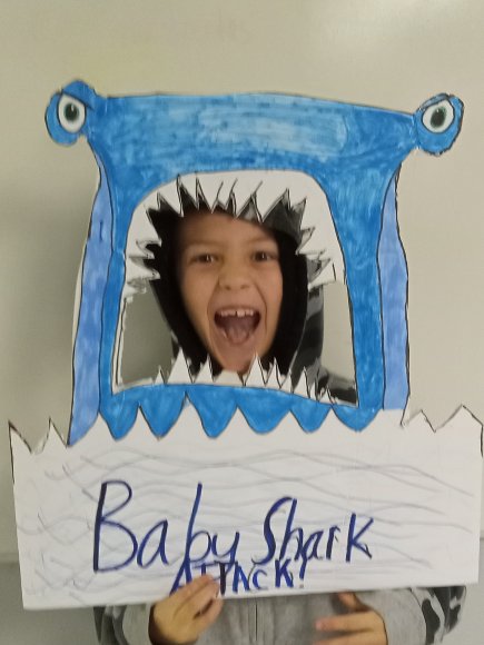 shark (10)