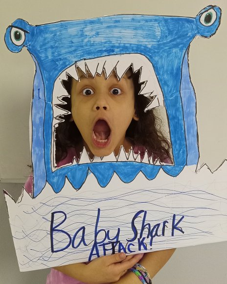 shark (11)