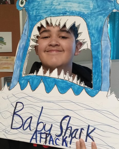 shark (18)