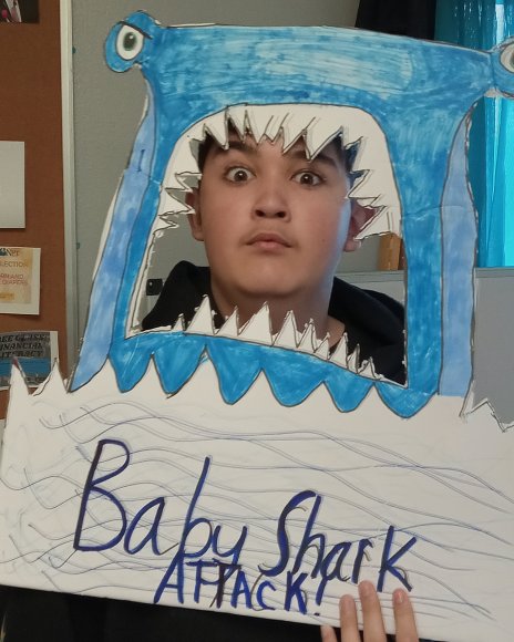 shark (19)