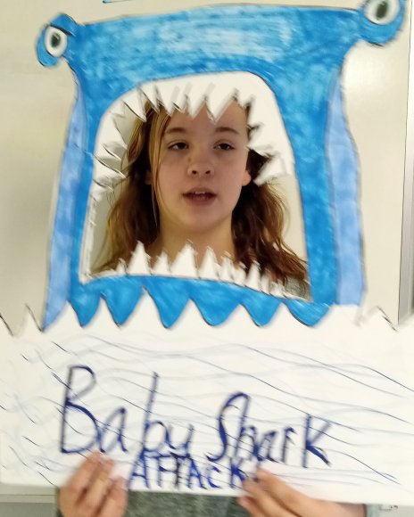 shark (8)