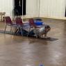 IMG-3131